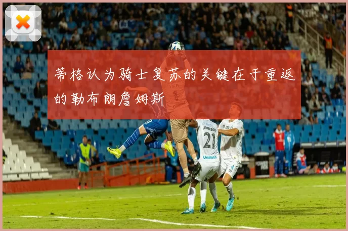 蒂格认为骑士复苏的关键在于重返的勒布朗詹姆斯