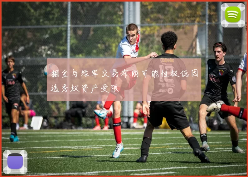掘金与绿军交易布朗可能性极低因选秀权资产受限